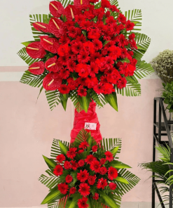 Kệ hoa đồng tiền khai trương - KT456