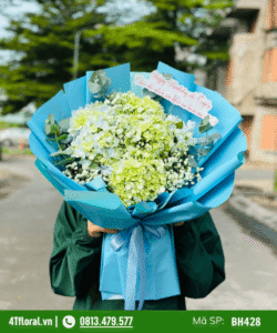 Bó hoa cẩm tú cầu giá rẻ - BH428