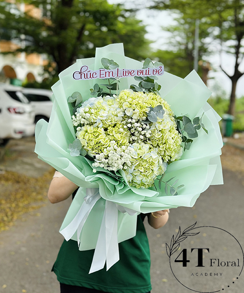 Bó hoa cẩm tú cầu xanh lá