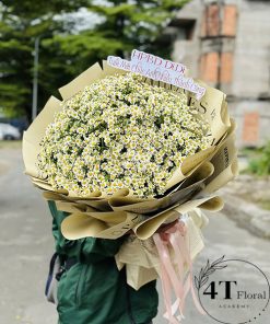 Bó hoa cúc tana khổng lồ – BH258