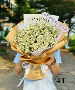 Bó hoa tươi cúc tana – BH243