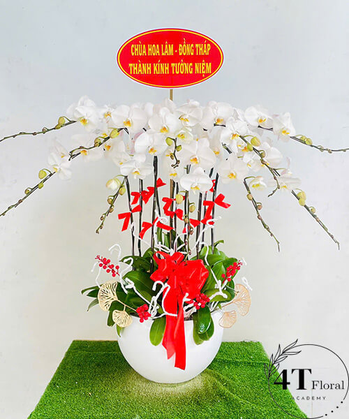 chậu lan hồ điệp tưởng niệm