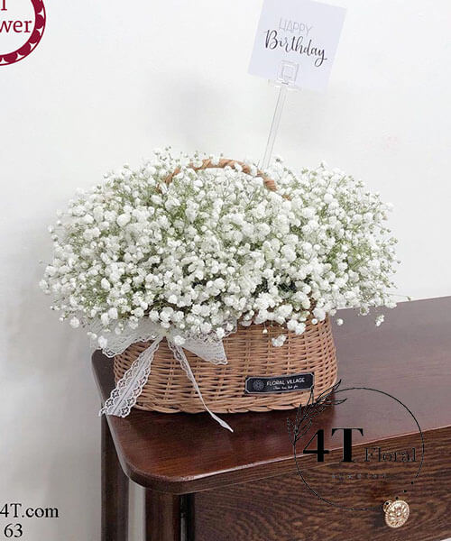 giỏ hoa baby trắng
