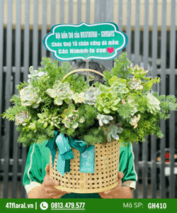 Giỏ hoa sen đá đẹp - GH410