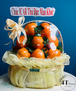 Giỏ trái cây cam úc - TC81