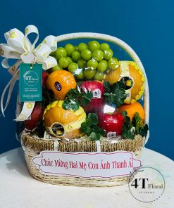 Giỏ trái cây chúc mừng thôi nôi - TC76