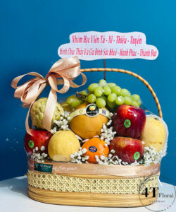 Giỏ trái cây làm quà tặng - TC53