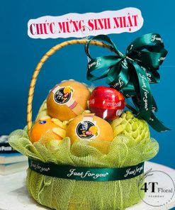 Giỏ trái cây làm quà tặng sinh nhật - TC52