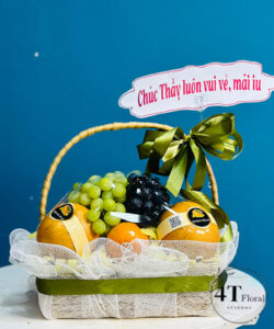 Giỏ trái cây tặng thầy - TC19