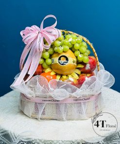 Giỏ trái cây thăm bệnh - TC17