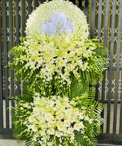 Kệ hoa tang biệt ly - HV76