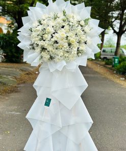 Kệ hoa tang thương tiếc - HV109