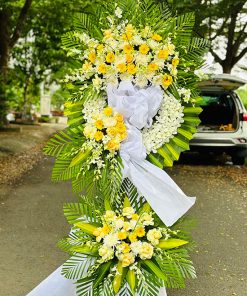 Kệ hoa tang lưu luyến - HV84