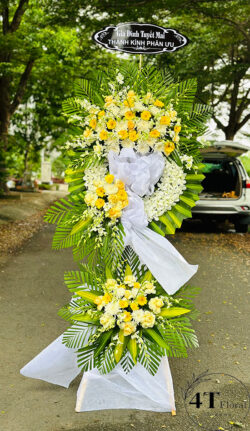 Kệ hoa tang lưu luyến - HV84