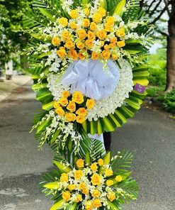 Kệ hoa tang thầm lặng - HV87