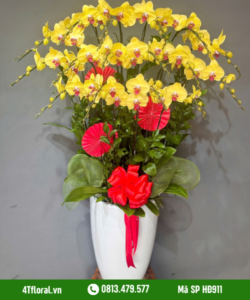 Lan Hồ Điệp - HĐ911