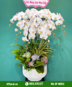 Lan Hồ Điệp - HĐ912