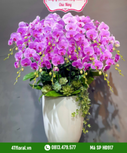 Lan Hồ Điệp - HĐ917