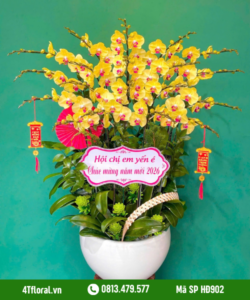 Lan Hồ Điệp - HĐ902